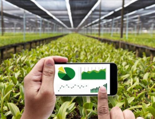 Optimizando la producción agrícola: Claves para el diseño de infraestructuras hidroagrícolas