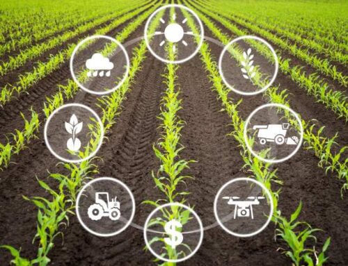 Eficiencia hídrica: Cómo los sistemas de riego avanzados están revolucionando la agricultura